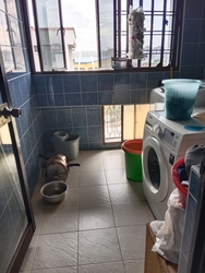 Blk 366 Corporation Drive (Jurong West), HDB 4 Rooms #382327541